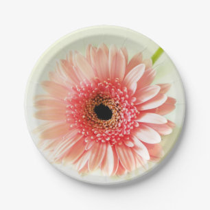 Fresh Pink Gerbera Daisy Photograph Paper Plates