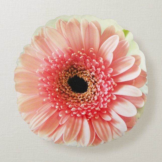 Fresh Pink Gerbera Daisy Photograph Round Pillow (Front)