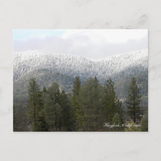 Fresh Powdered Snow.... Postcard