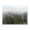 Fresh Powdered Snow.... Postcard