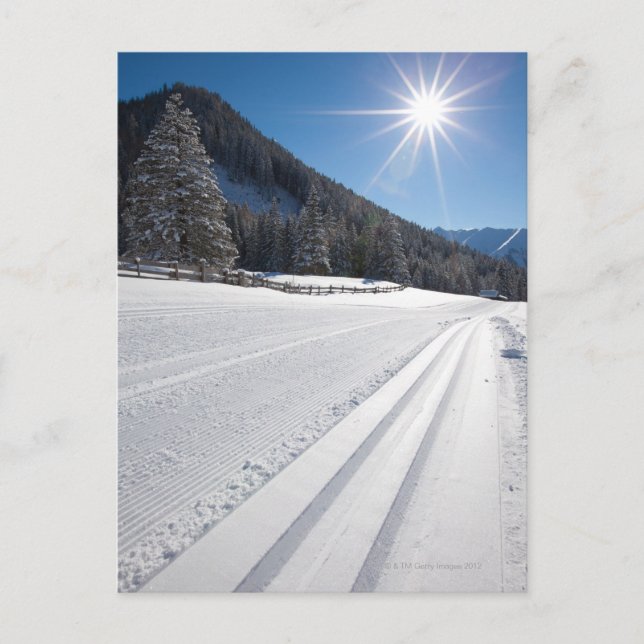 fresh prepared cross-country ski run in a 2 postcard (Front)