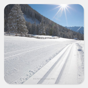 fresh prepared cross-country ski run in a 2 square sticker