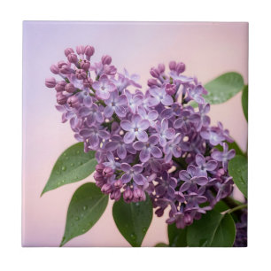 Fresh Purple Lilac Blossoms Spring Floral Ceramic Tile