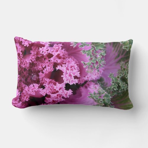 Fresh Purple Ornamental Kale Designer Lumbar Pillow