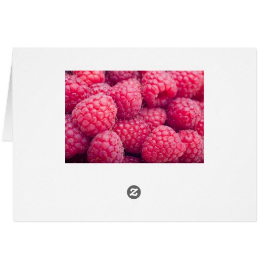 Fresh raspberries (Back Horizontal)