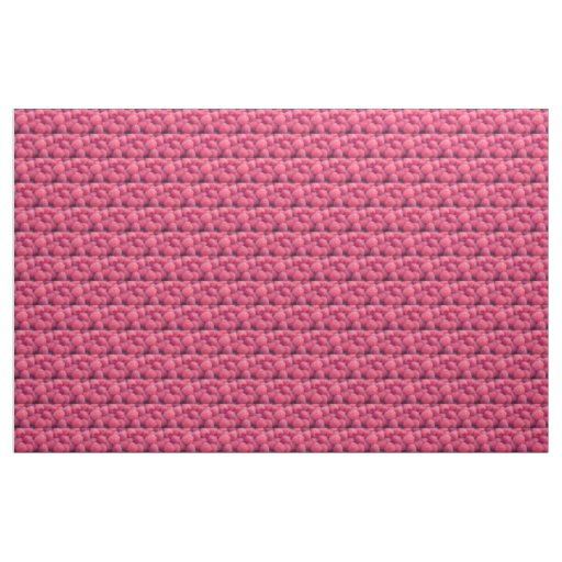 Fresh raspberries fabric