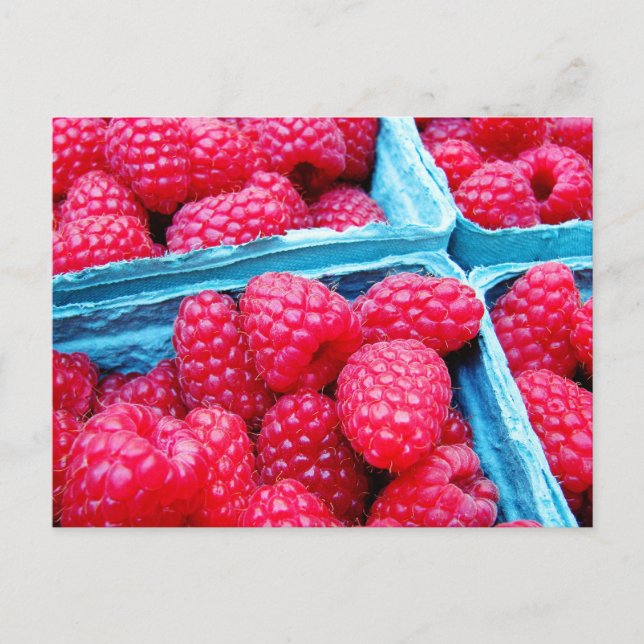 Fresh Raspberries Postcard (Front)