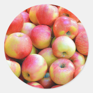 Fresh red and yellow apples classic round sticker