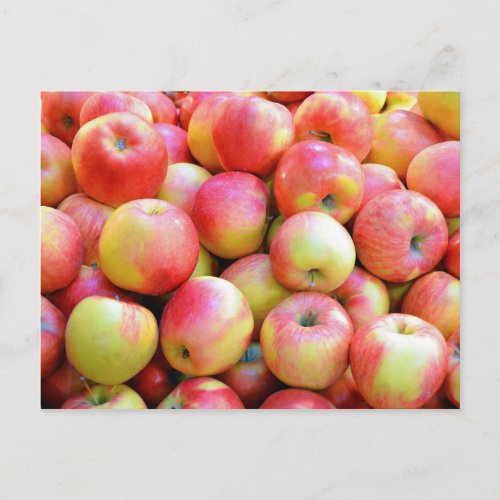 Fresh red and yellow apples postcard