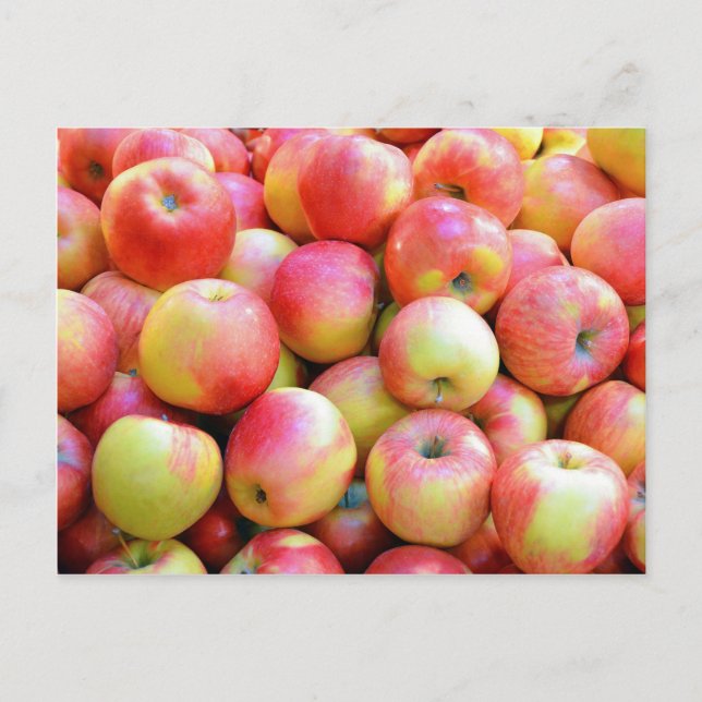 Fresh red and yellow apples postcard (Front)