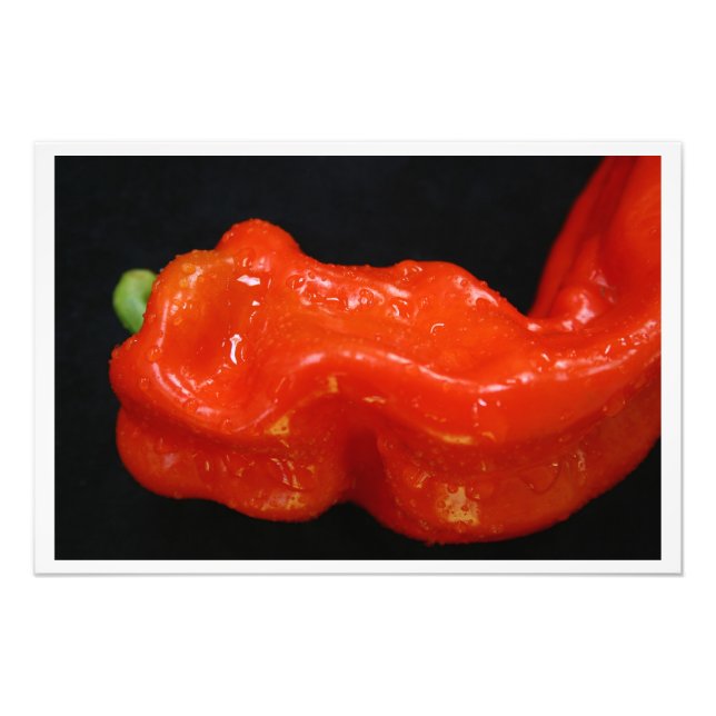 Fresh Red Bell Pepper Photo Print (Front)