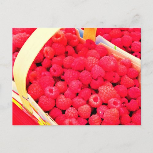 Fresh Red Raspberries Berry Baskets in a Market Postcard