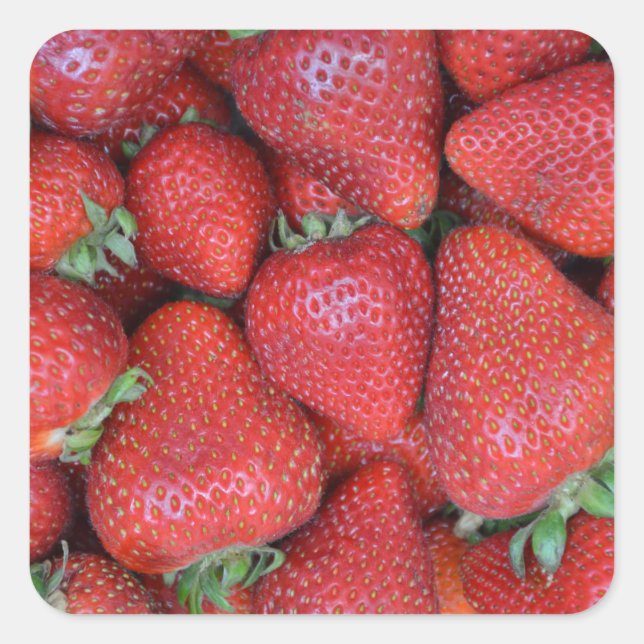 Fresh red strawberries square sticker (Front)
