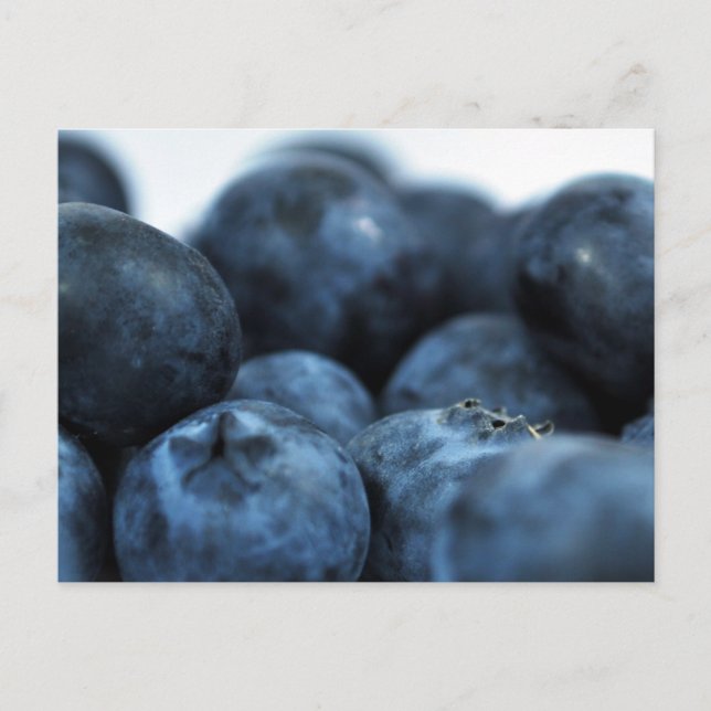 Fresh Ripe Blueberries Postcard (Front)