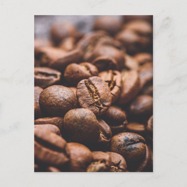 Fresh roasted coffee beans postcard (Front)