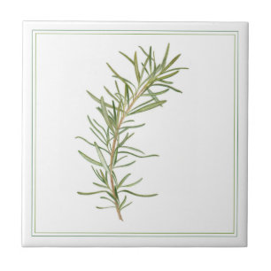 FRESH ROSEMARY 4.25x4.25 Ceramic Tile (-text)