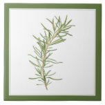 FRESH ROSEMARY 6x6 Ceramic Tile (-text) Green