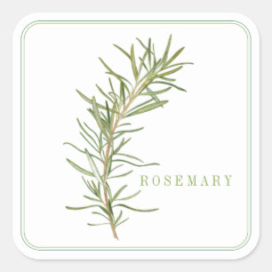 FRESH ROSEMARY Large Square Stickers