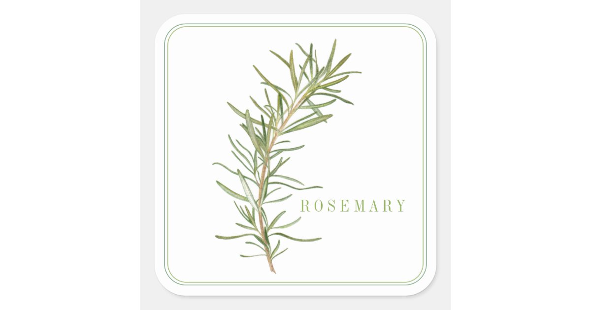 Rosemary Sticker FRESH ROSEMARY Large Square Stickers | Zazzle
