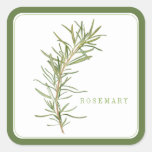 FRESH ROSEMARY Large Square Stickers - Green