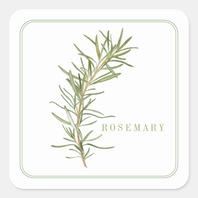 FRESH ROSEMARY Small Square Stickers (Front)