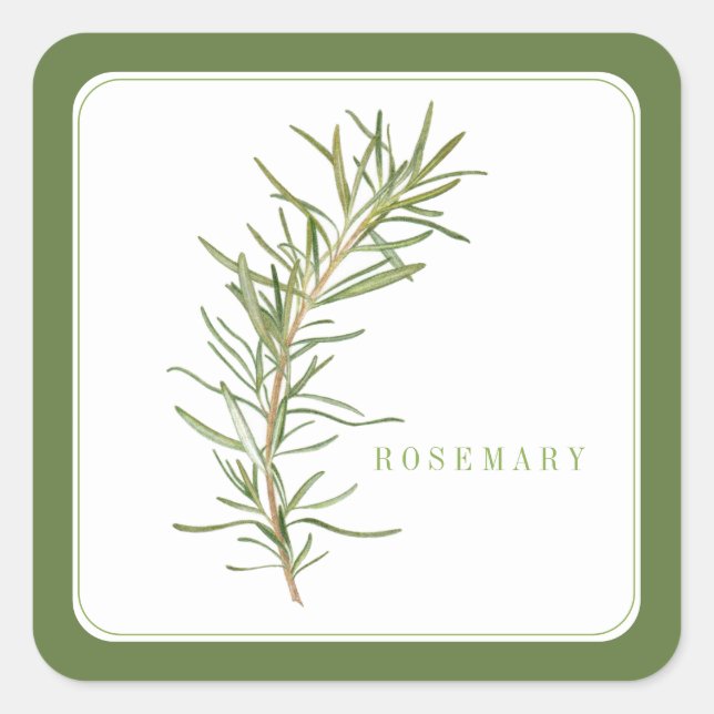 FRESH ROSEMARY Small Square Stickers - Green (Front)