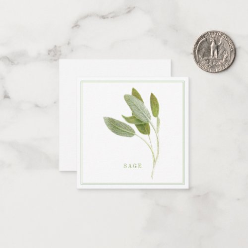 FRESH SAGE 25 Square Flat Card