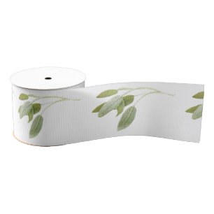 FRESH SAGE 3" Wide Grosgrain Ribbon