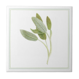 FRESH SAGE 4.25x4.25 Ceramic Tile (-text)