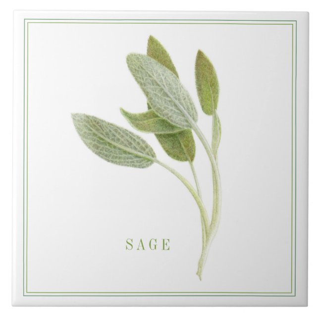 FRESH SAGE 6"x6" Ceramic Tile (+text) (Front)