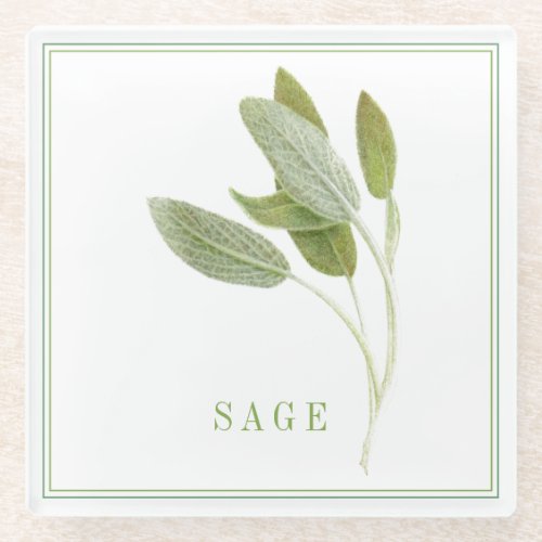 FRESH SAGE Glass Beverage Coaster