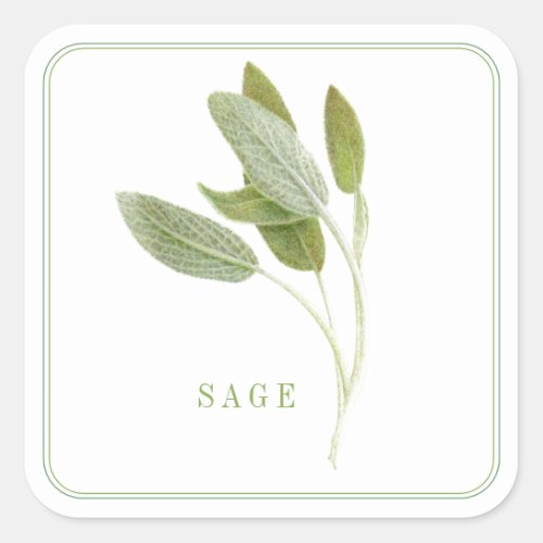 FRESH SAGE Large Square Stickers