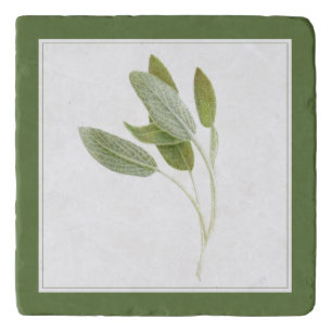 FRESH SAGE Marble Stone Trivet (-text) Green