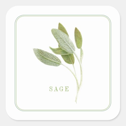 FRESH SAGE Small Square Stickers