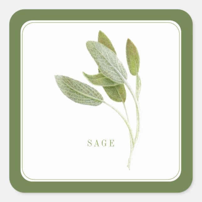 FRESH SAGE Small Square Stickers - Green (Front)