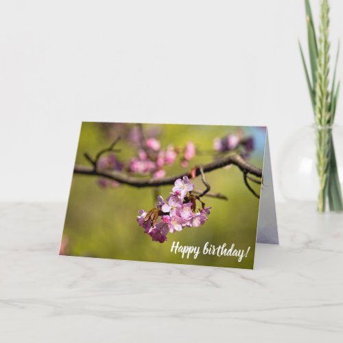 Fresh Sakura Flowers Against The Green Background Card