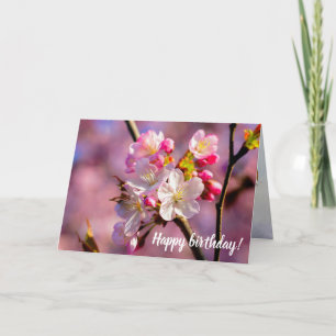 Fresh Sakura Flowers In The Garden In Springtime Card