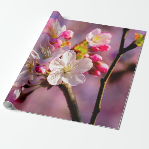 Fresh Sakura Flowers In The Garden Wrapping Paper