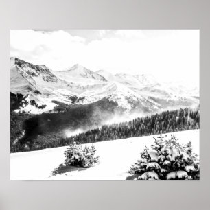 Fresh Snow Dust // Black and White Poster