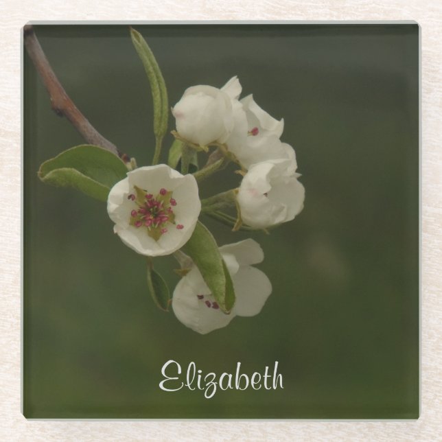 Fresh Spring Pear Blossoms Personalized Photo Glass Coaster (Front)