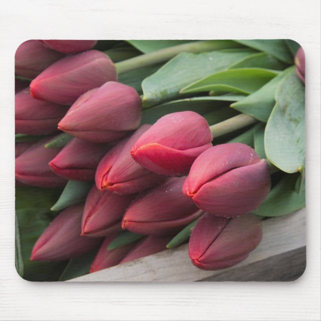Fresh Spring Tulips Mouse Pad (Front)