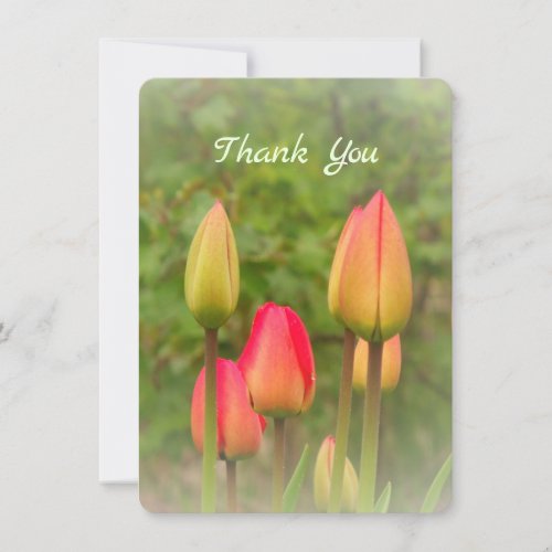 Fresh Spring Tulips Photo Thank You Card