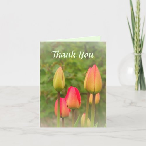 Fresh Spring Tulips Thank You Card