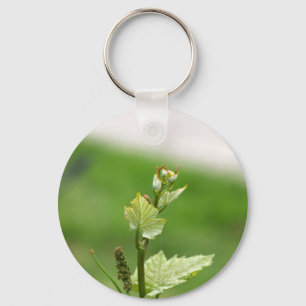 Fresh sprouts of grape vine keychain
