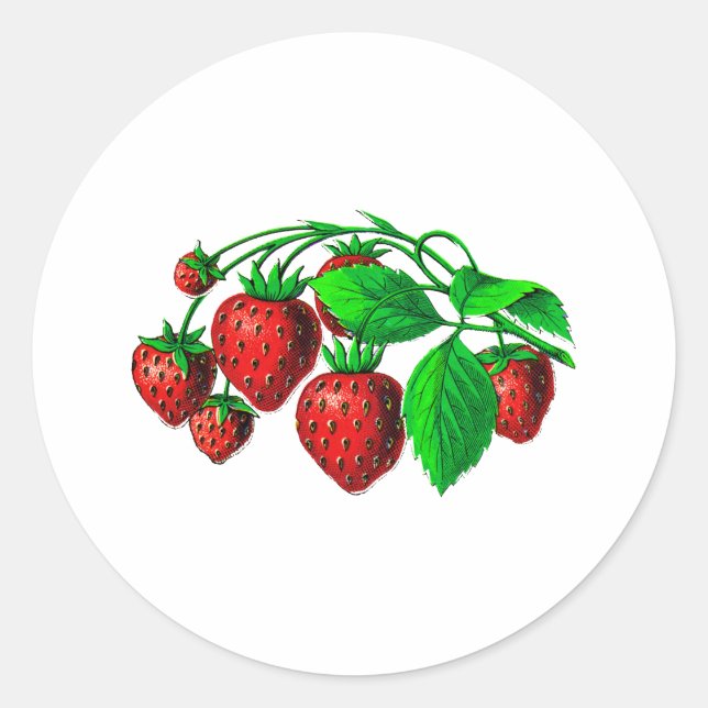 Fresh Strawberries Classic Round Sticker (Front)