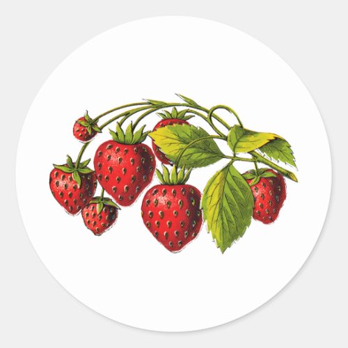 Fresh Strawberries Classic Round Sticker