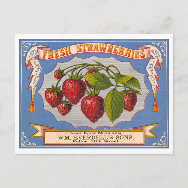 Fresh Strawberries Vintage Lithograph Advertising Postcard (Front)
