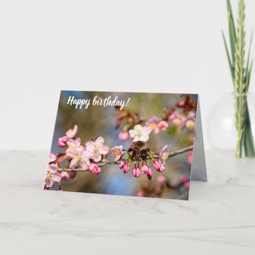 Fresh Sunlit Sakura Flowers And Purple Buds Card