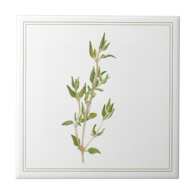 FRESH THYME 4.25x4.25 Ceramic Tile (-text) (Front)
