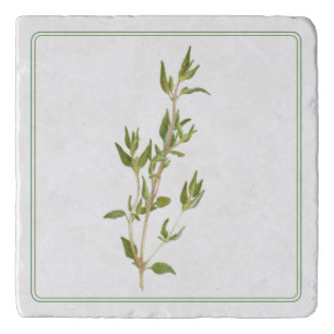 FRESH THYME Marble Stone Trivet (-text)